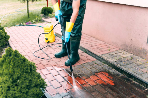 Best House Exterior Washing  in Beecher, MI